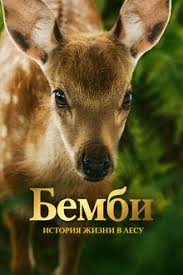 .     (2024) Bambi, l'histoire d'une vie dans les b ...